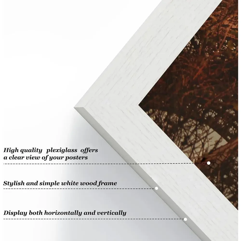 2PK White Wood 18x24 Picture Frame Plexiglass Wall Mount Photo Poster Display